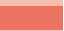 Primary Raster logo